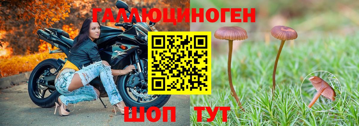 хочу наркоту  Галлюциногенные грибы Psilocybe  Вход с VPN  Серов 