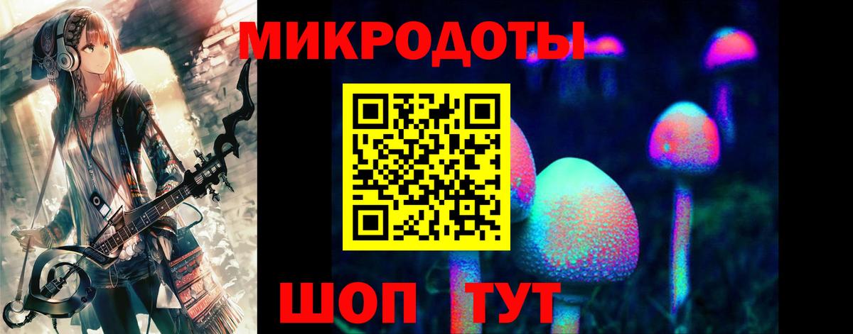Псилоцибиновые грибы Cubensis Серов